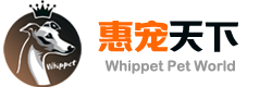 惠宠天下 惠比特犬 Whippet 我们的惠比特未来之路 从零开始